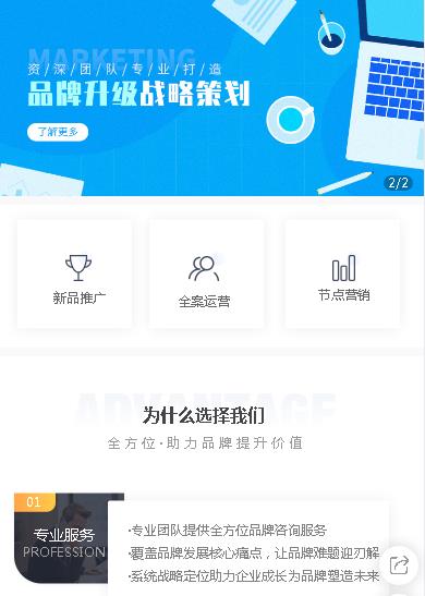 普定咨询策划小程序开发