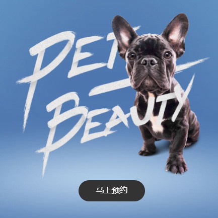 普定宠物中心小程序开发