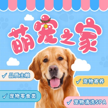 普定萌宠之家小程序开发