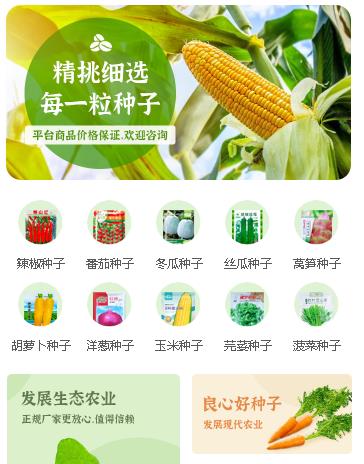 普定农业小程序开发