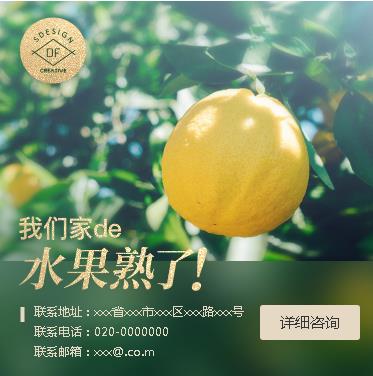 普定果园果林小程序开发